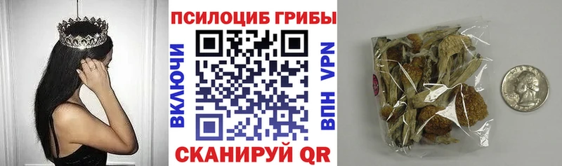 что такое наркотик  Калязин  Псилоцибиновые грибы MAGIC MUSHROOMS 